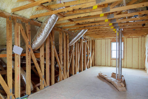 Best Home Insulation Services  in Ina, IL