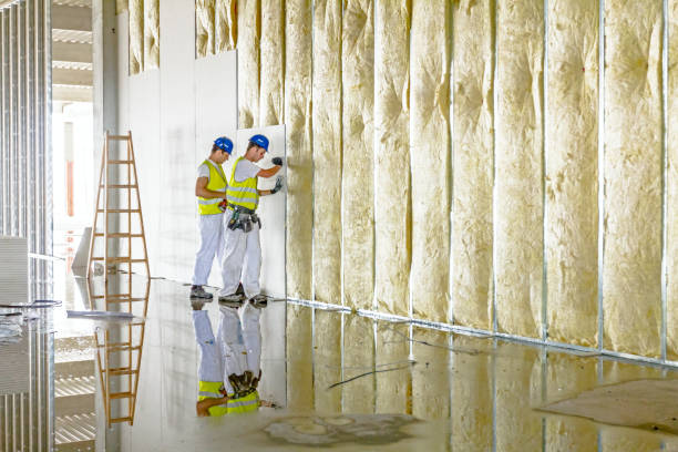 Best Attic Insulation Near Me  in Ina, IL
